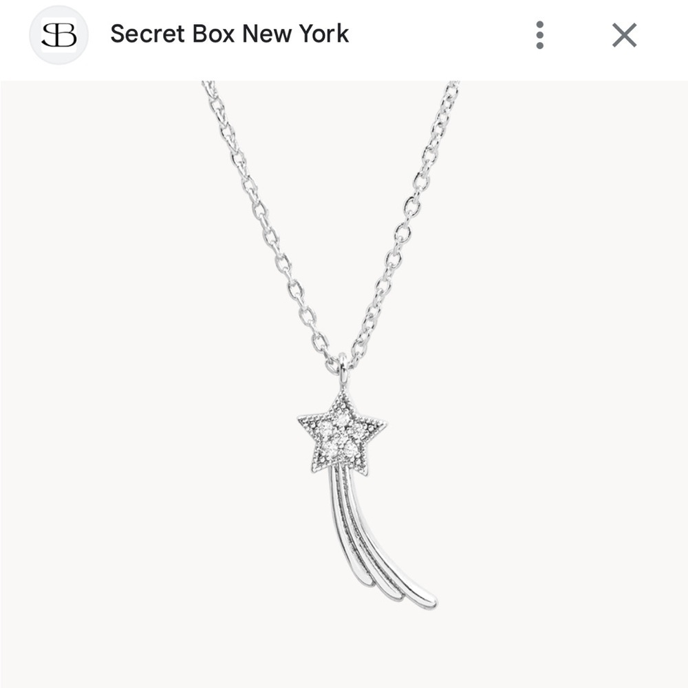 Secret Box New York Shooting Star Sterling Dipped Necklace